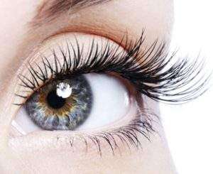 Beauty female eye with curl long false eyelashes - macro shot over white background
