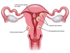 Рекомендую прочитать